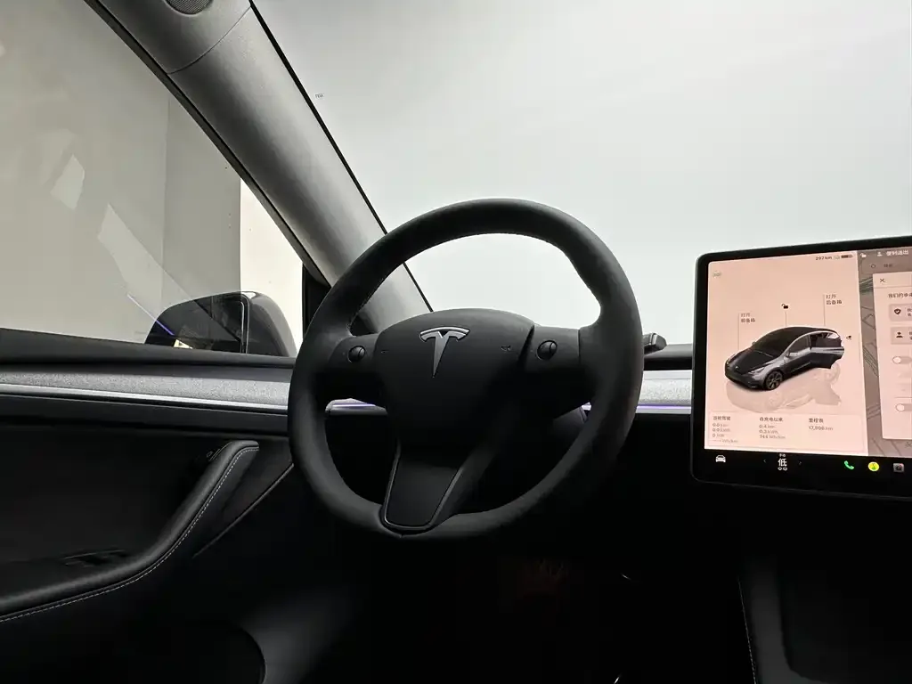 Tesla Model Y 2024 из CN, фото 3