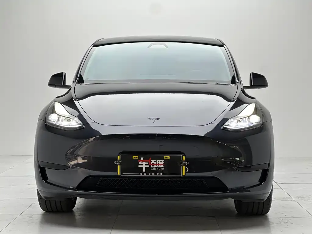 Tesla Model Y 2024 из CN, фото 6