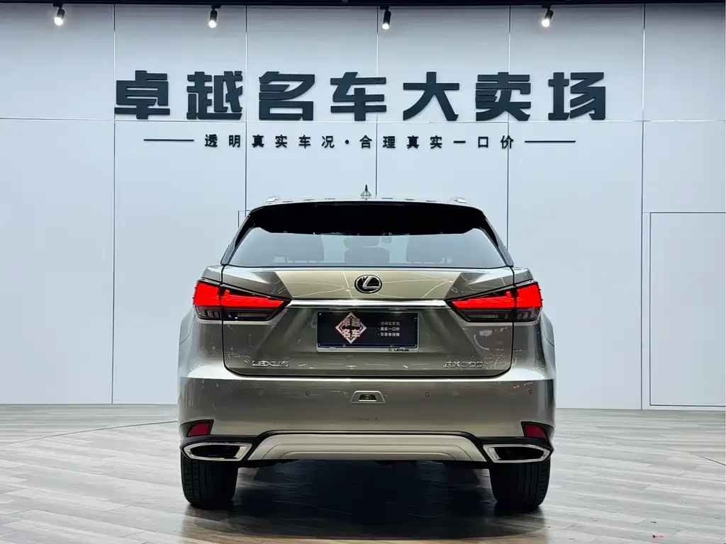 Lexus RX 2022 из CN, фото 2