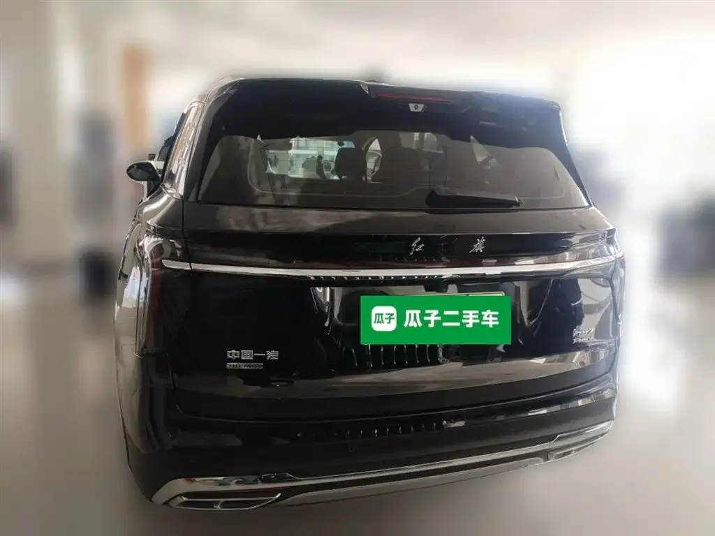 Hongqi HS7 PHEV 2025 из CN, фото 6
