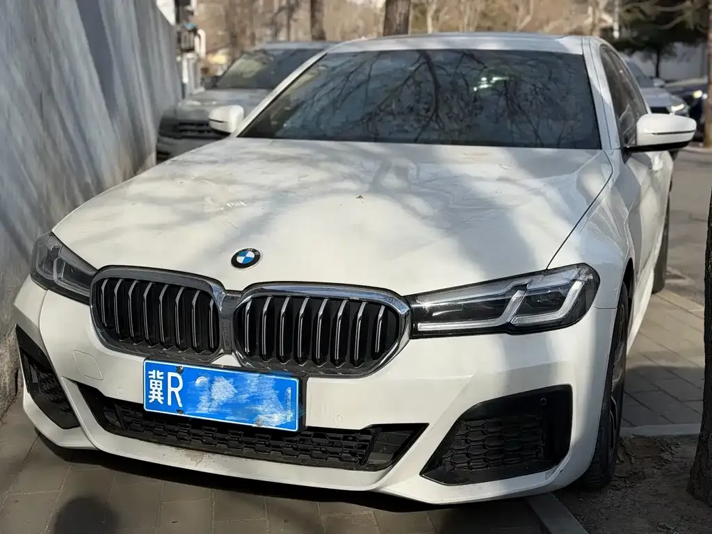 BMW 5 Series (Import) 2023 из CN, фото 1
