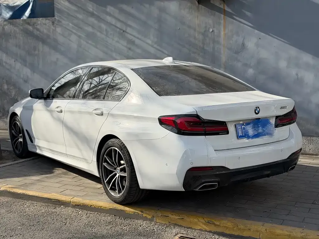BMW 5 Series (Import) 2023 из CN, фото 6