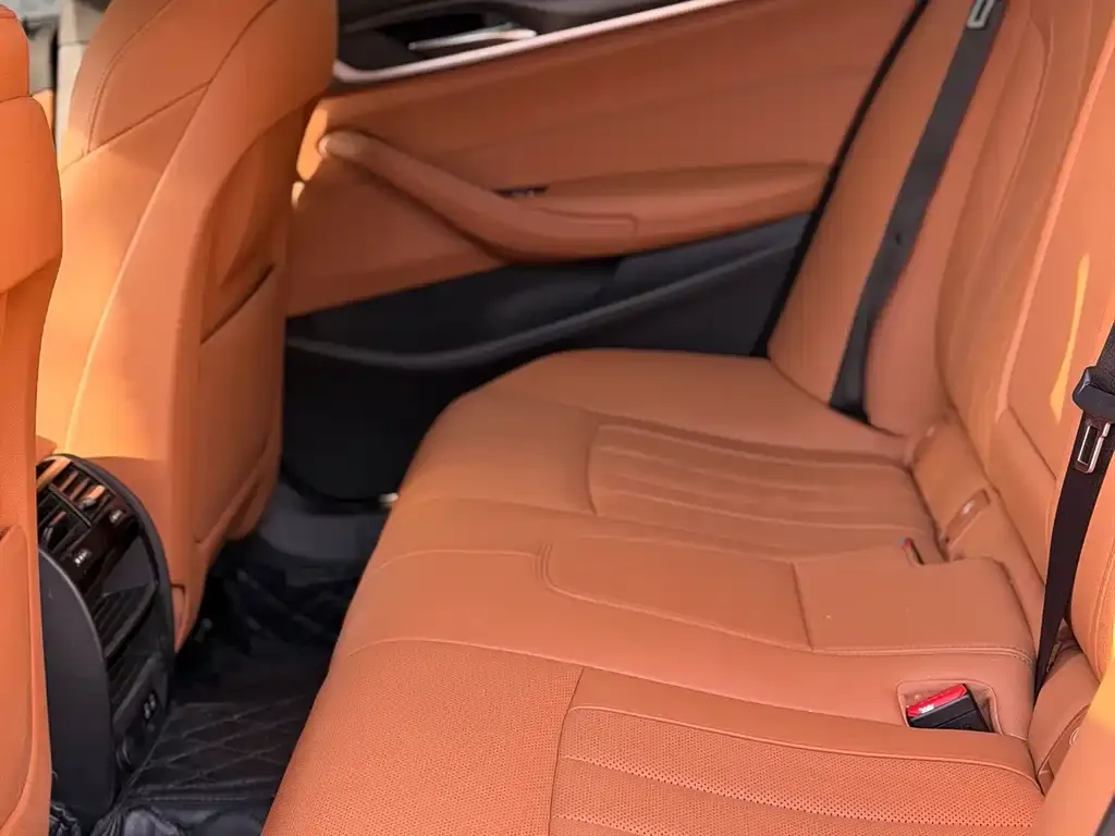 BMW 5 Series (Import) 2023 из CN, фото 4