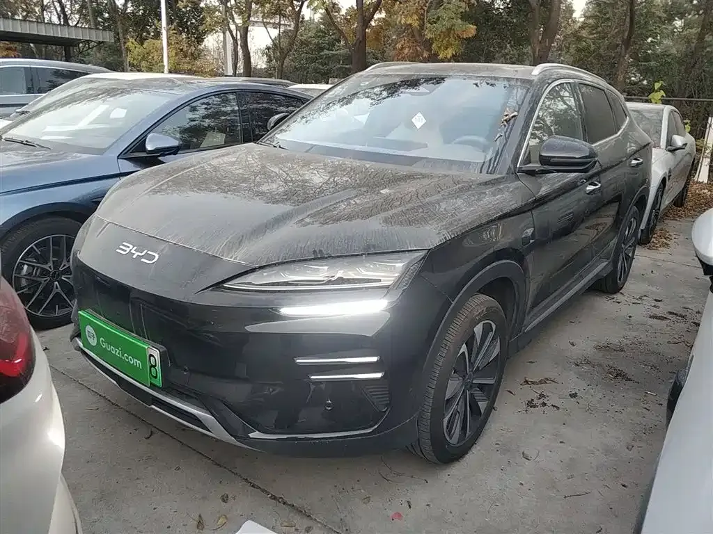 BYD PLUS New Energy — фото 2
