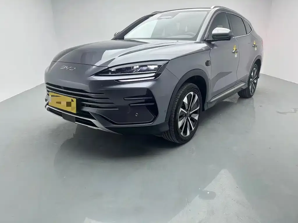 BYD PLUS New Energy — фото 1