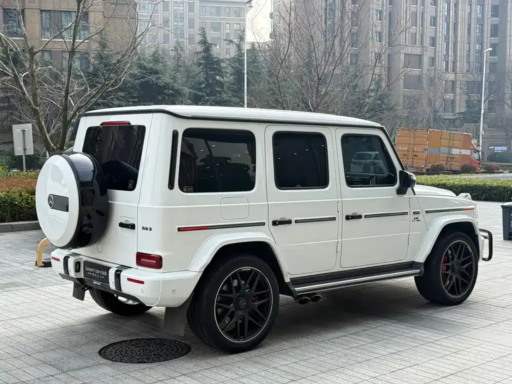Mercedes-Benz G-Class 2021 из CN, фото 7