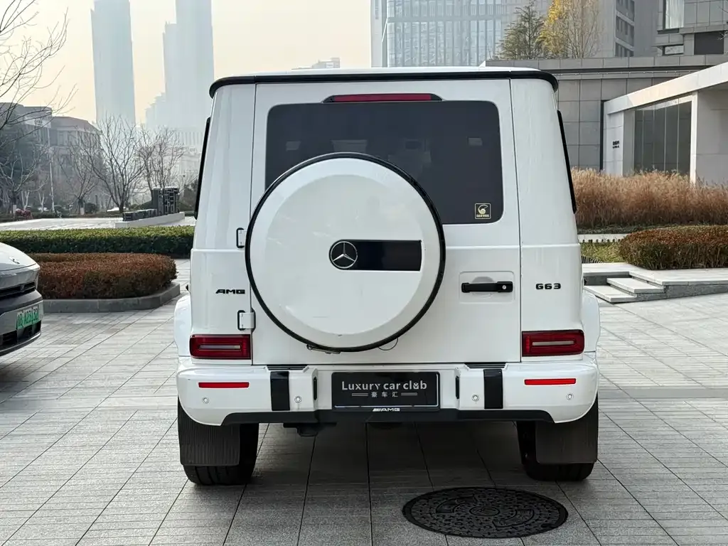 Mercedes-Benz G-Class 2021 из CN, фото 10
