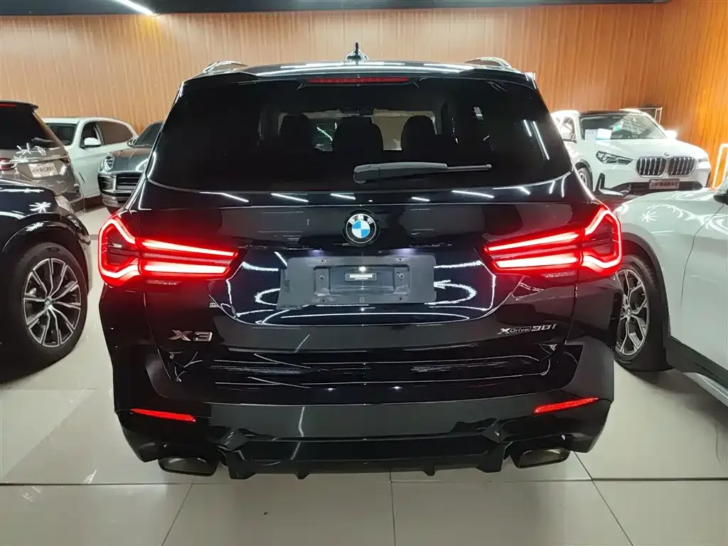 BMW X3 2022 из CN, фото 10