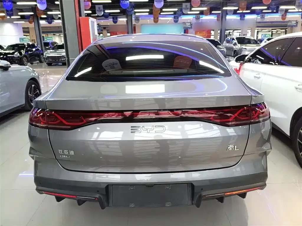 BYD Qin L 2024 из CN, фото 6