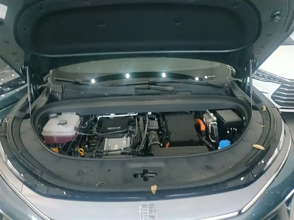 BYD Tang L 2025 из CN, фото 6