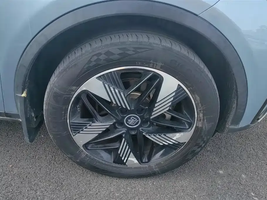 BYD Tang New Energy 2023 из CN, фото 6