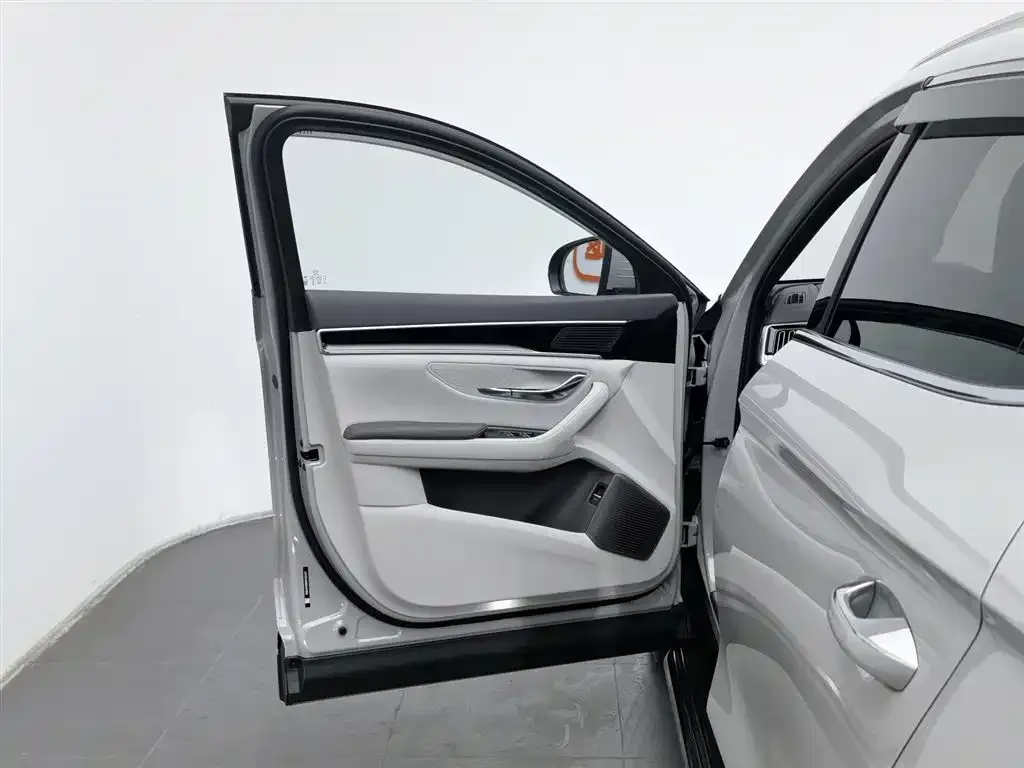 BYD PLUS New Energy 2025 из CN, фото 8