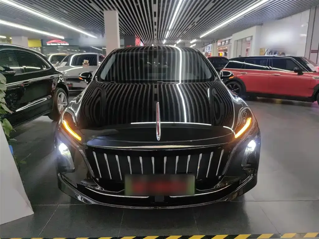 Hongqi E-QM5 2024 из CN, фото 3