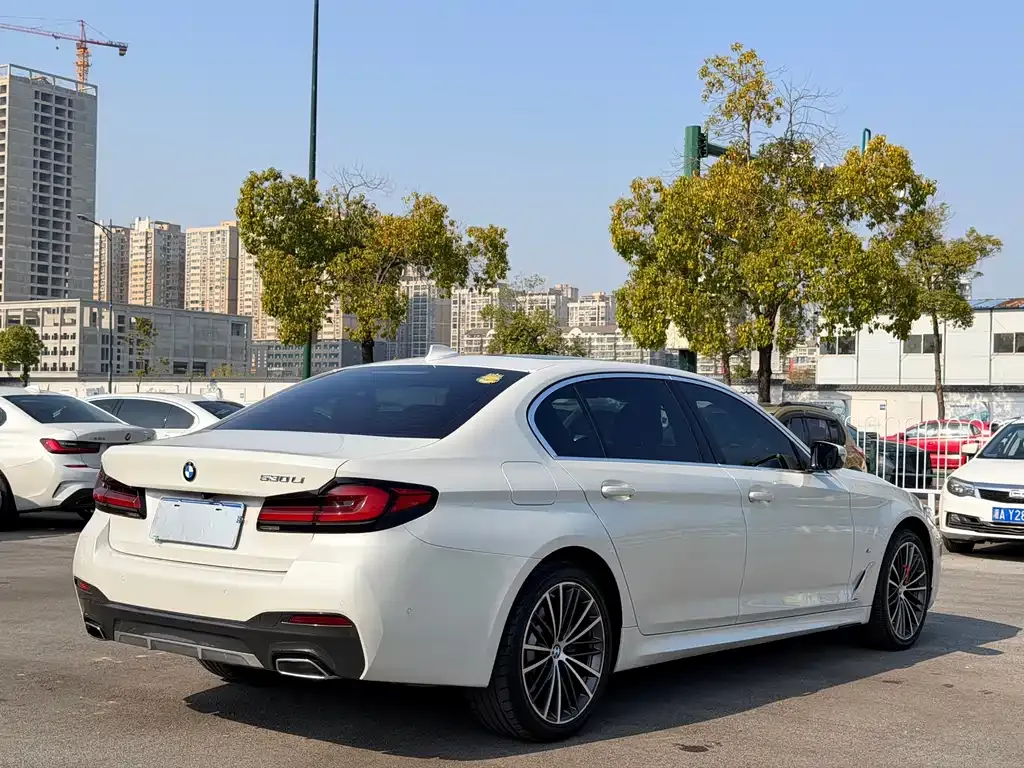BMW 5 Series 2022 из CN, фото 8