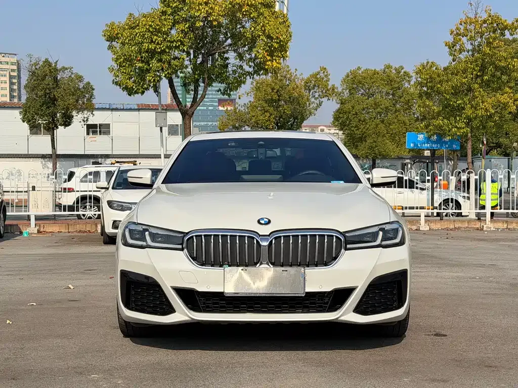 BMW 5 Series 2022 из CN, фото 9