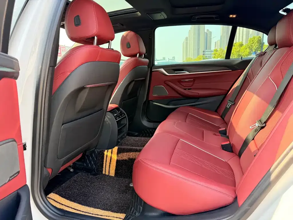 BMW 5 Series 2022 из CN, фото 10