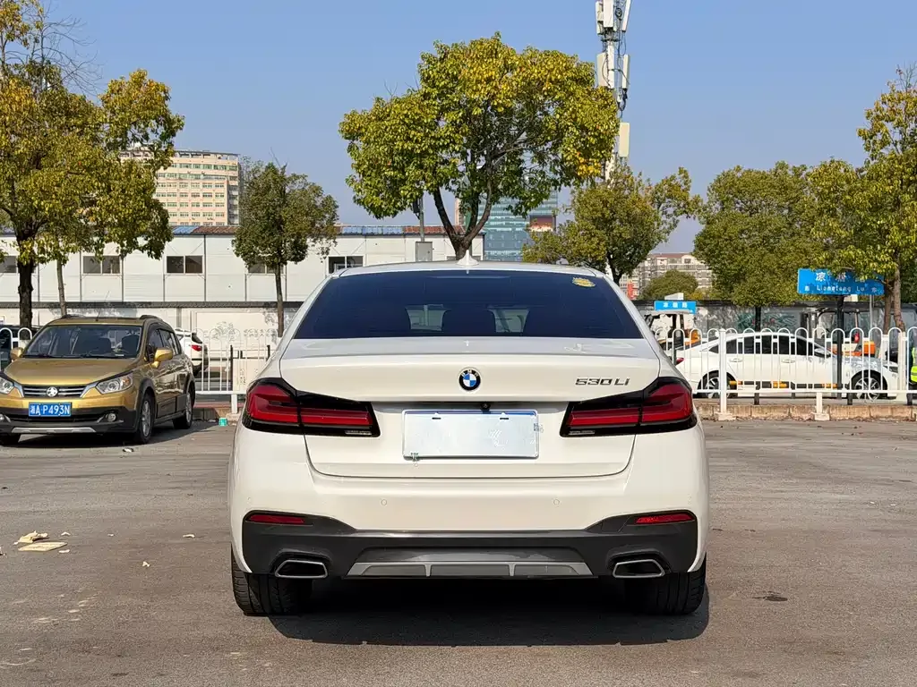 BMW 5 Series 2022 из CN, фото 3