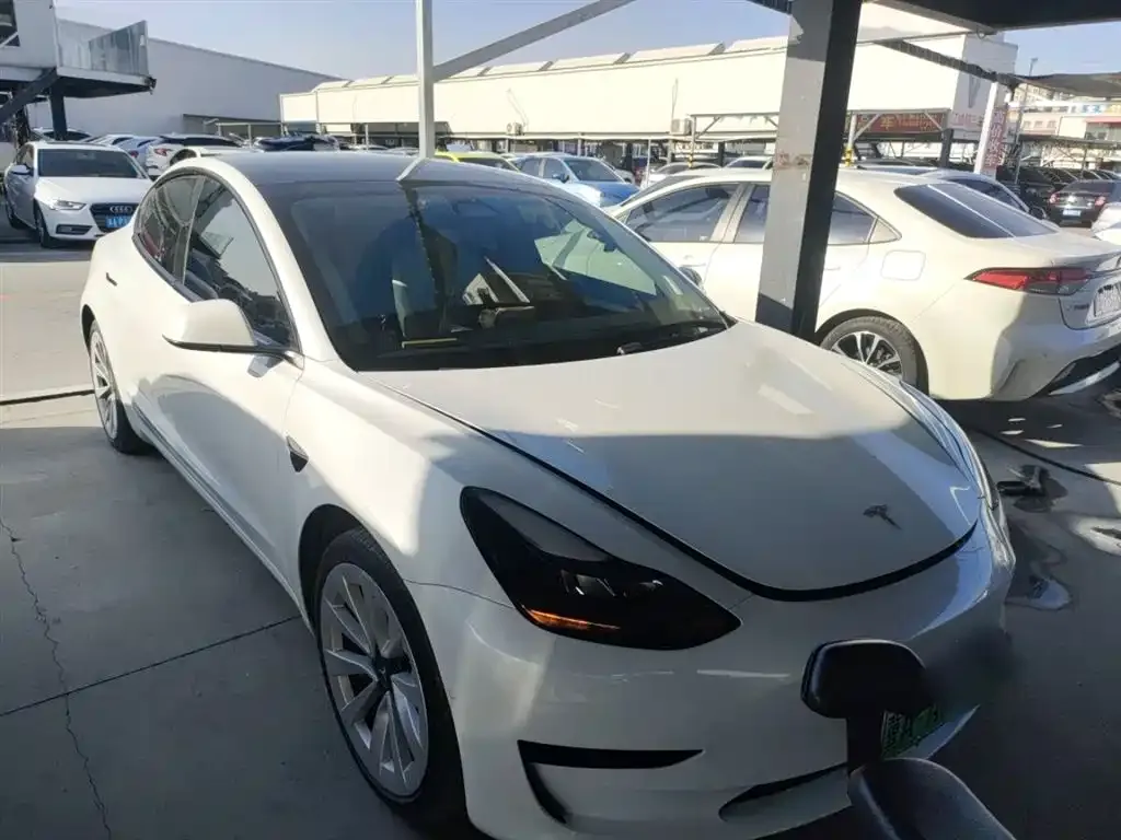 Tesla Model 3 2021 из CN, фото 4