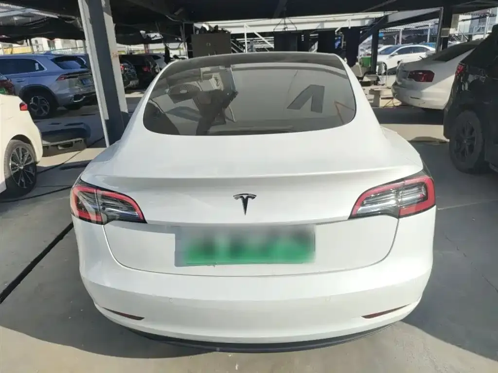Tesla Model 3 2021 из CN, фото 6