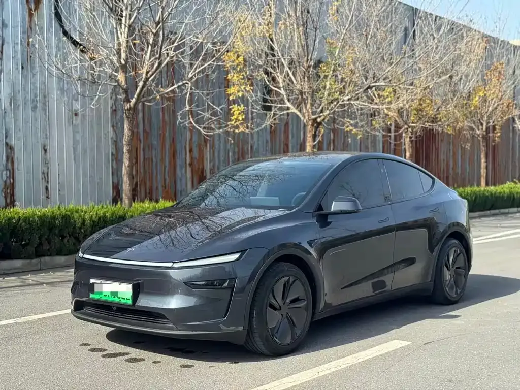 Tesla Model Y 2025 из CN, фото 1