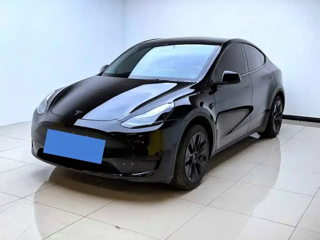 Tesla Model Y 2023 из CN, фото 1
