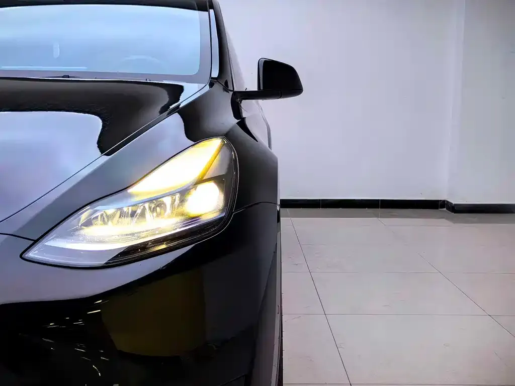 Tesla Model Y 2023 из CN, фото 2