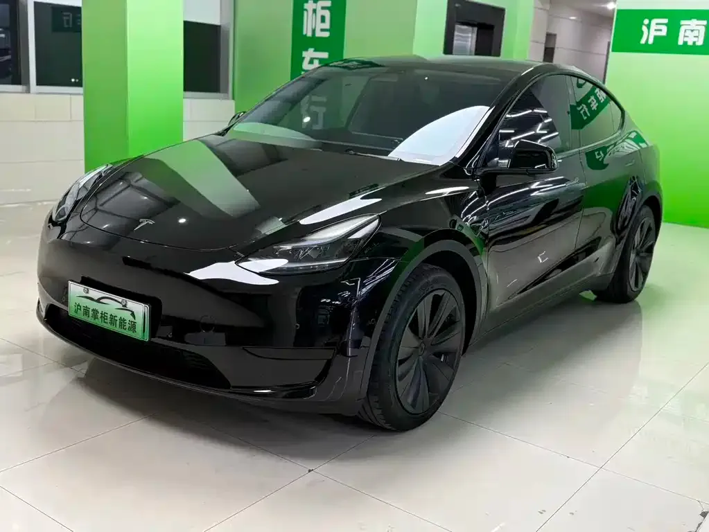 Tesla Model Y 2024 из CN, фото 1