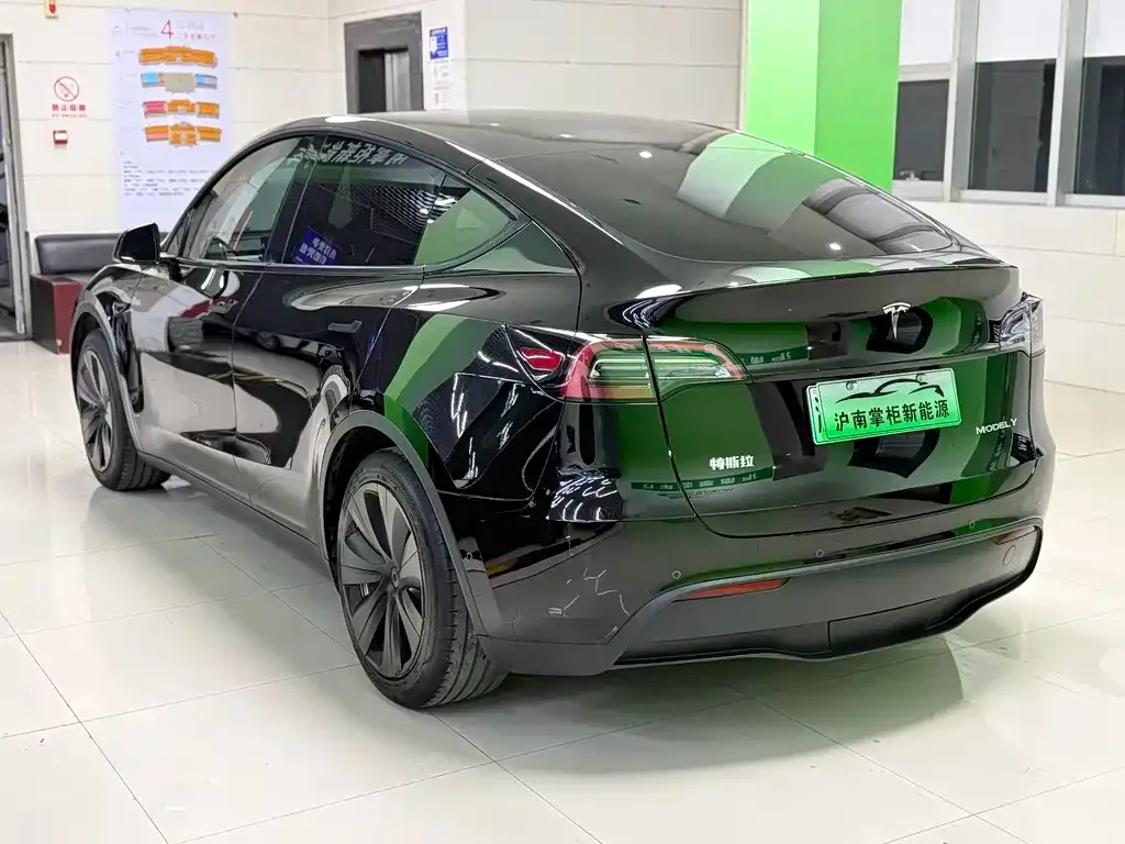 Tesla Model Y 2024 из CN, фото 6