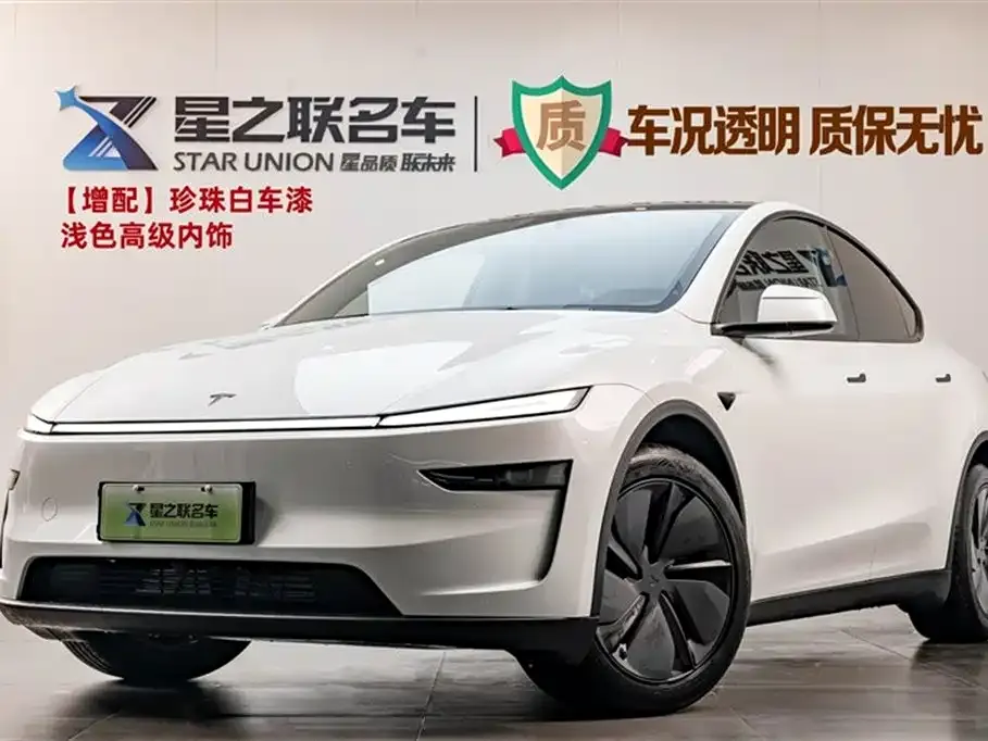 Tesla Model Y 2025 из CN, фото 1