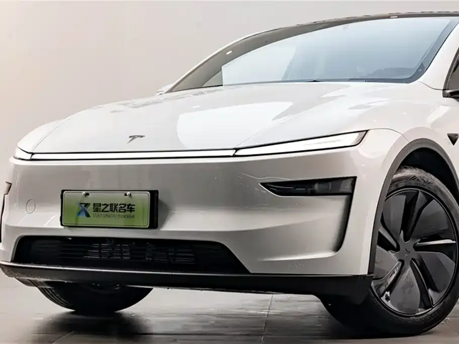 Tesla Model Y 2025 из CN, фото 3
