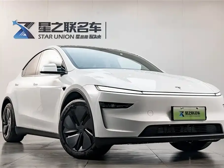 Tesla Model Y 2025 из CN, фото 7
