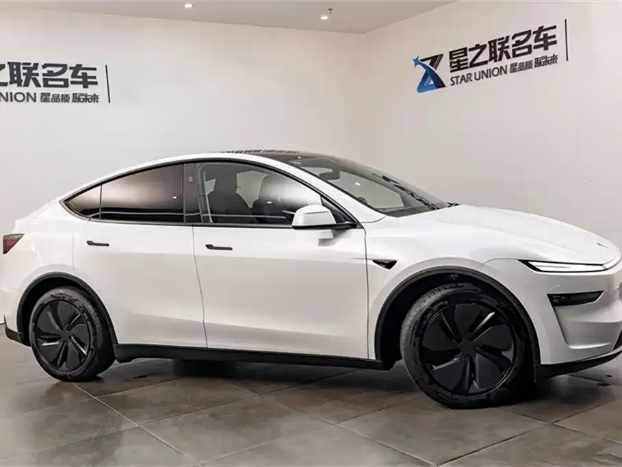 Tesla Model Y 2025 из CN, фото 10