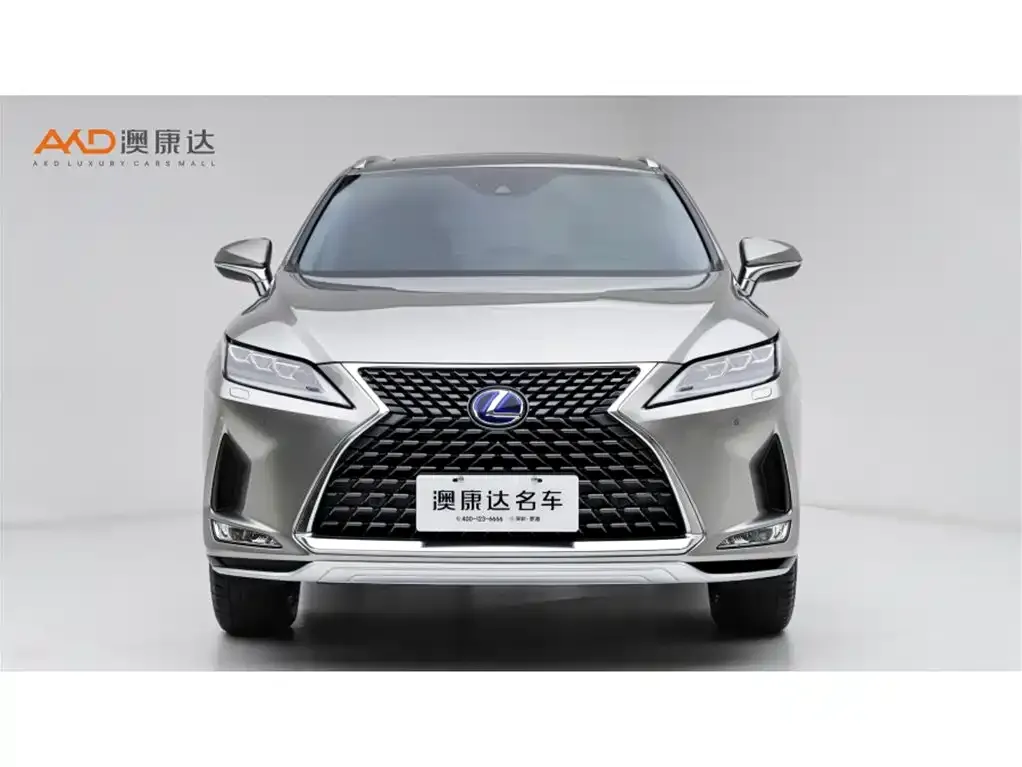 Lexus RX 2022 из CN, фото 10