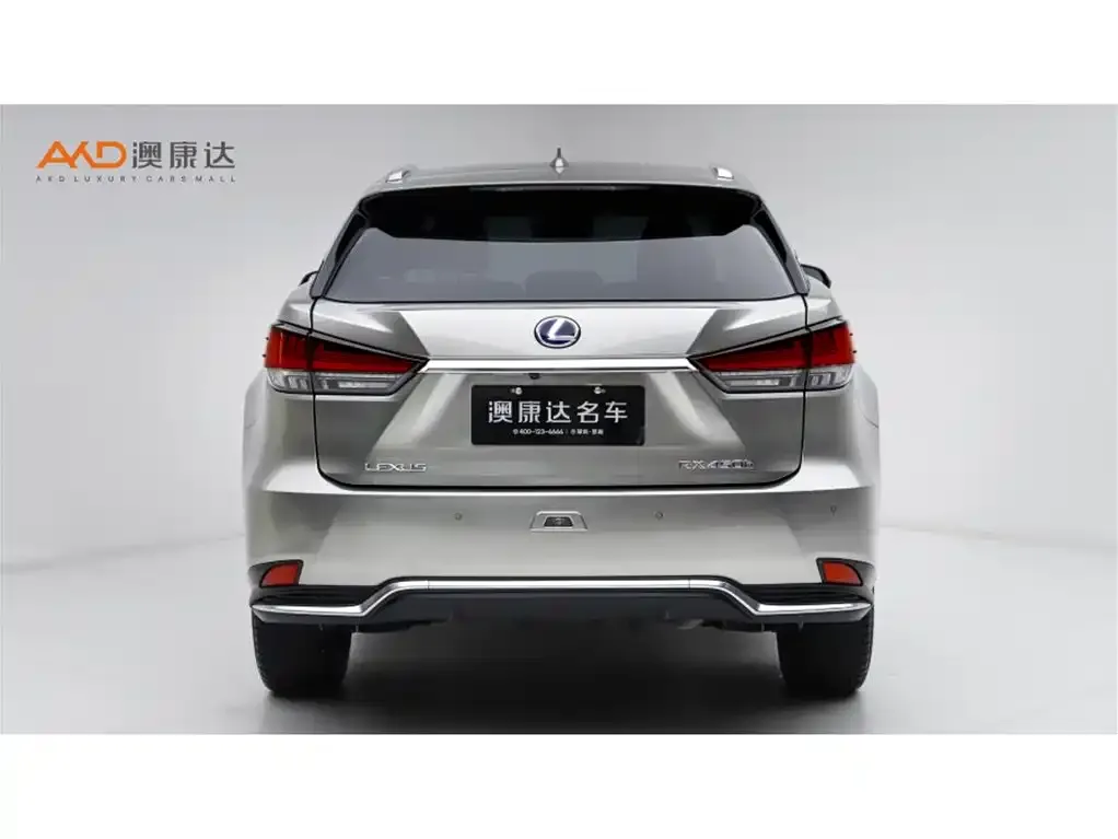 Lexus RX 2022 из CN, фото 2