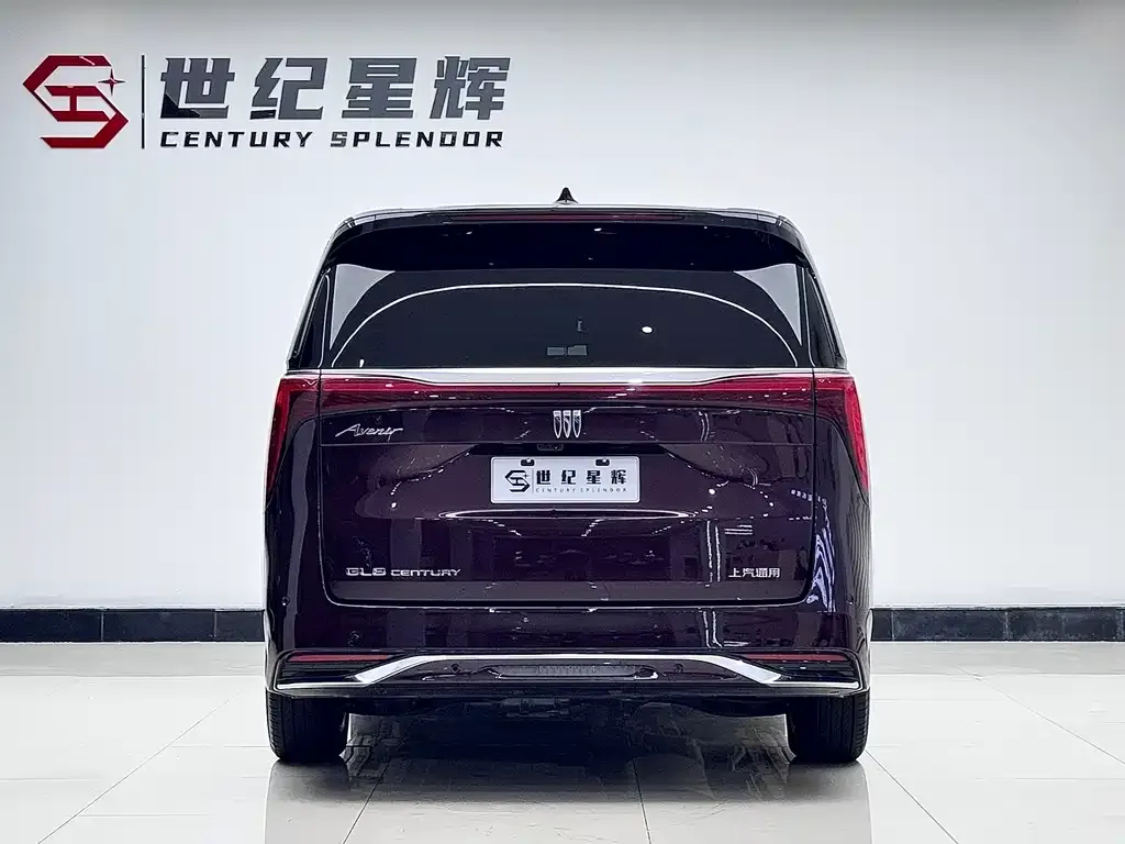 Buick Century 2024 из CN, фото 6