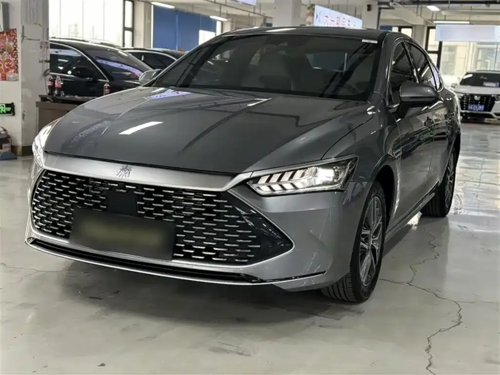 BYD Qin PLUS — фото 1