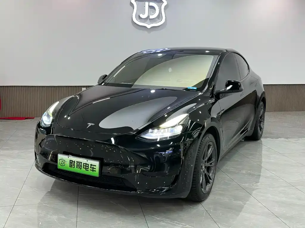 Tesla Model Y 2022 из CN, фото 1