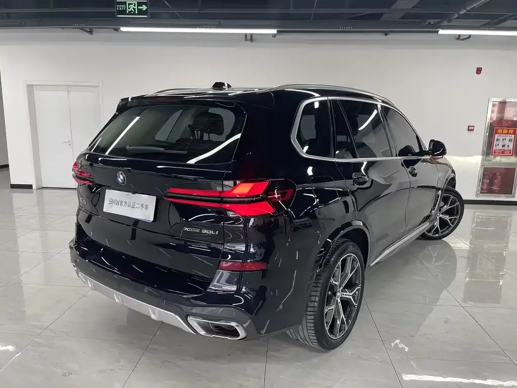 BMW X5 2024 из CN, фото 6
