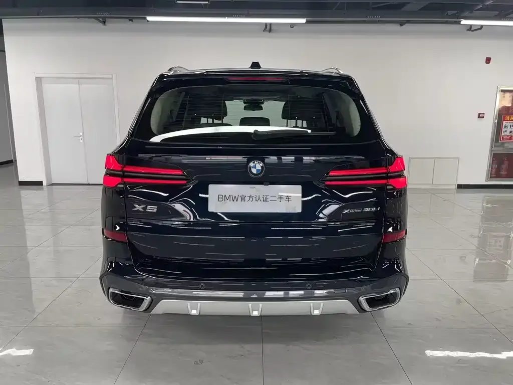 BMW X5 2024 из CN, фото 8