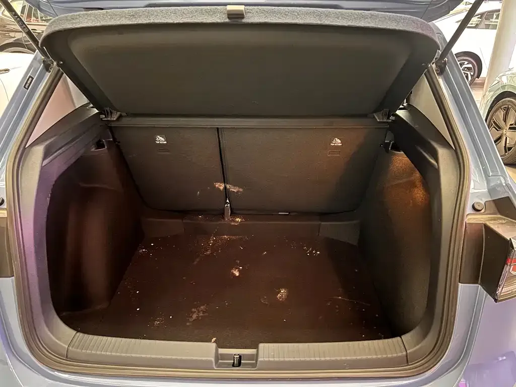 Volkswagen Tharu 2024 из CN, фото 3