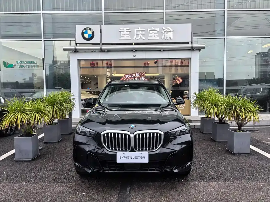 BMW X5 2025 из CN, фото 4