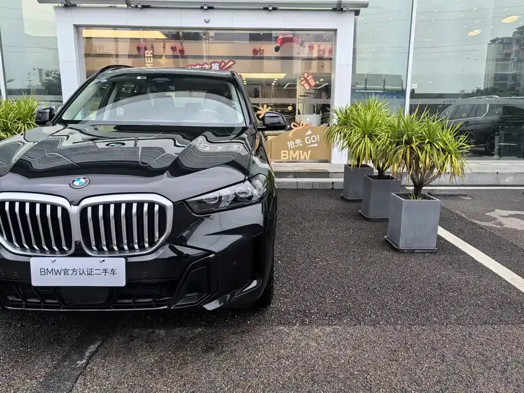 BMW X5 2025 из CN, фото 3