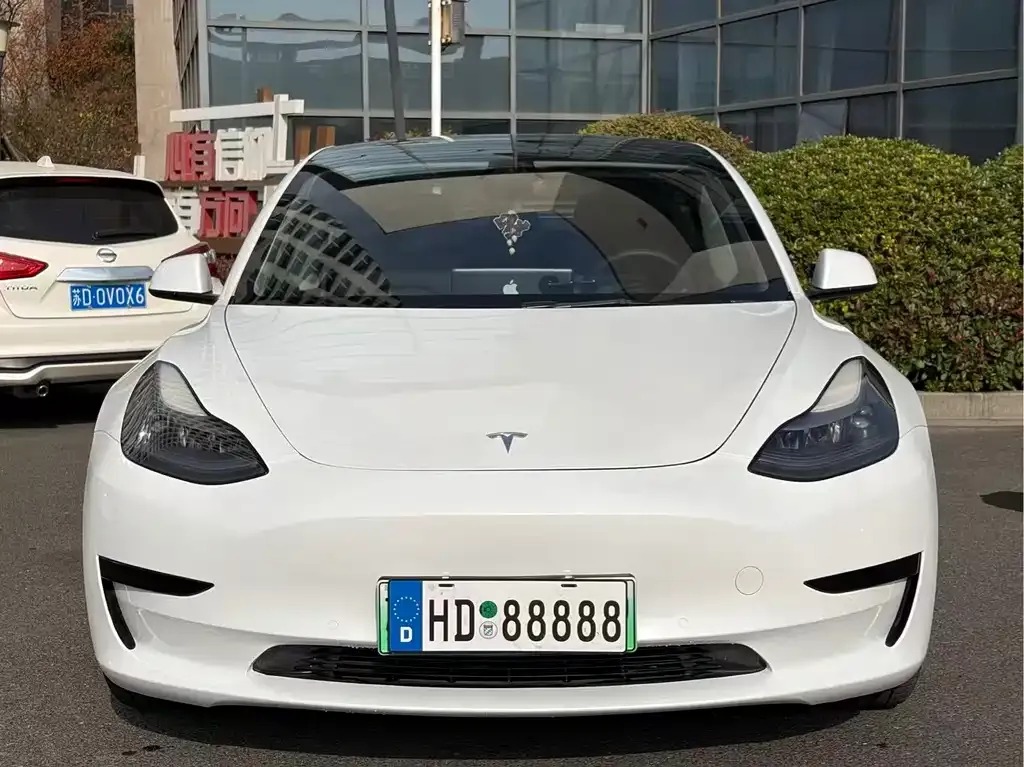 Tesla Model 3 2021 из CN, фото 2