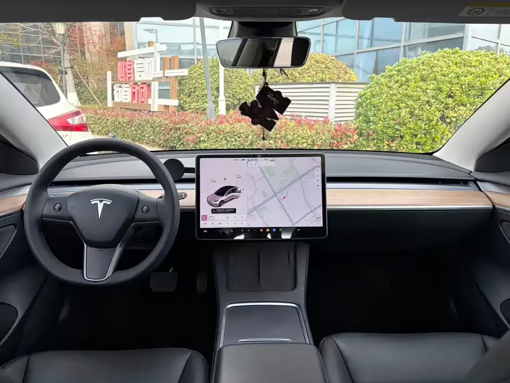 Tesla Model 3 2021 из CN, фото 3
