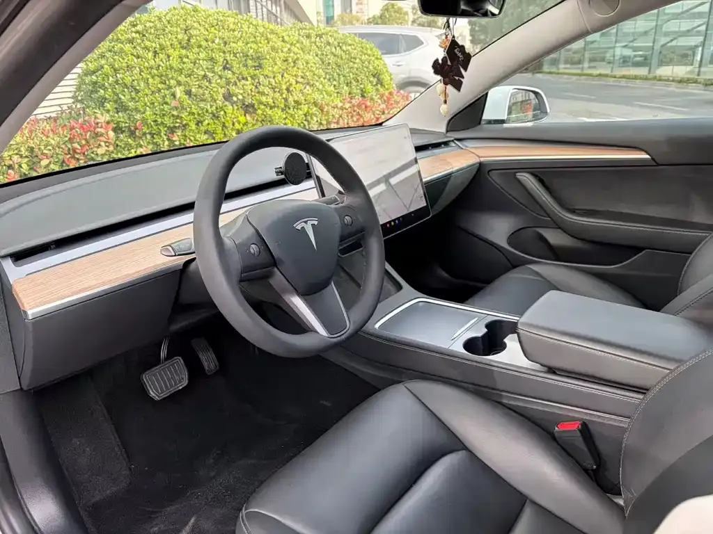 Tesla Model 3 2021 из CN, фото 4