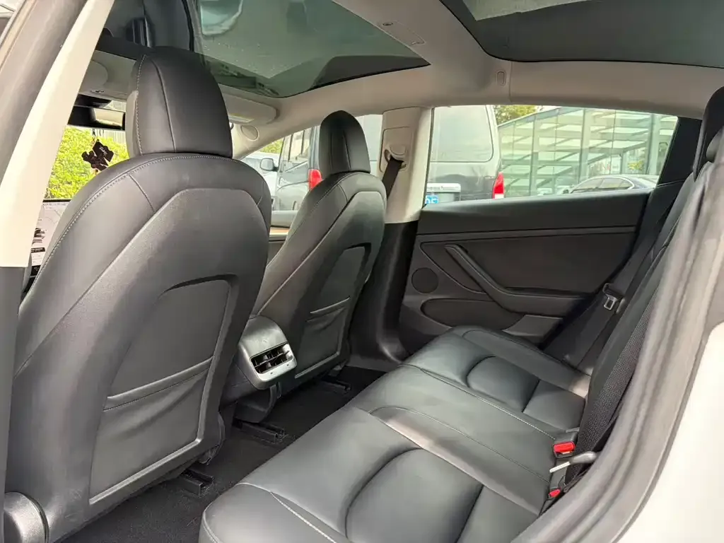 Tesla Model 3 2021 из CN, фото 5