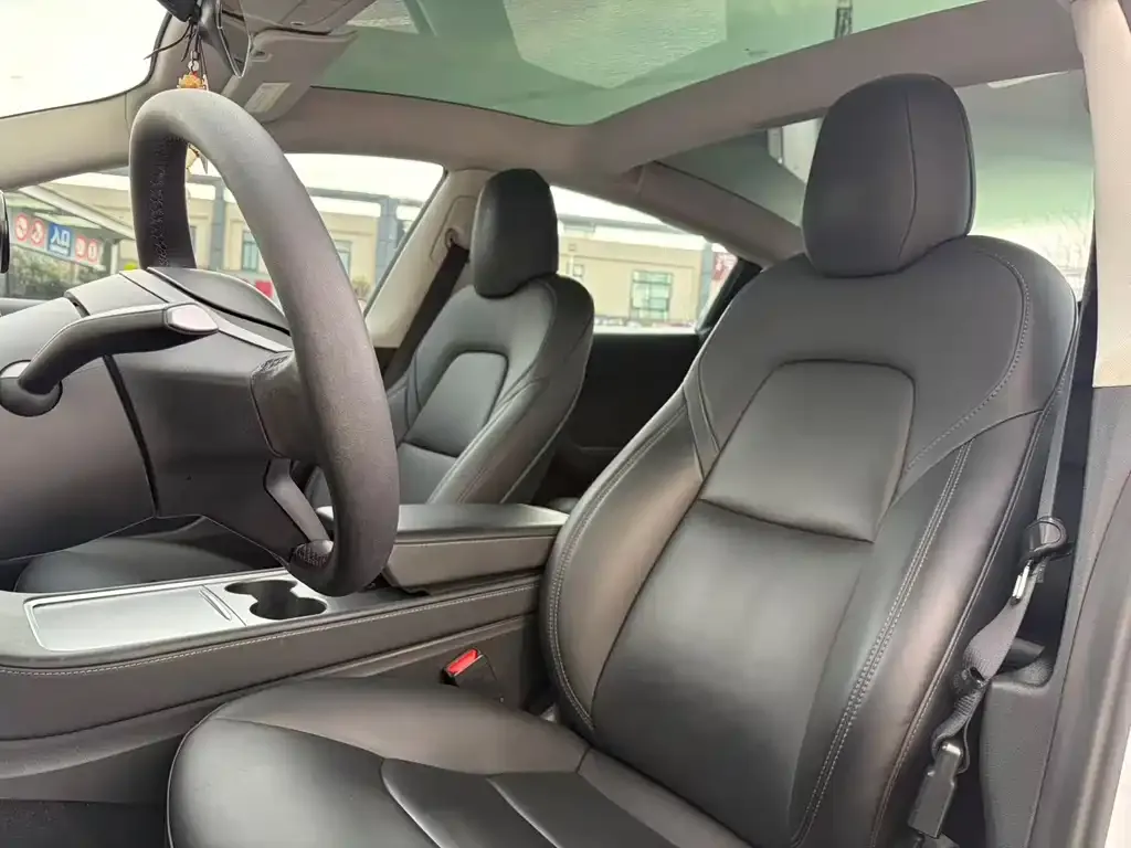 Tesla Model 3 2021 из CN, фото 7