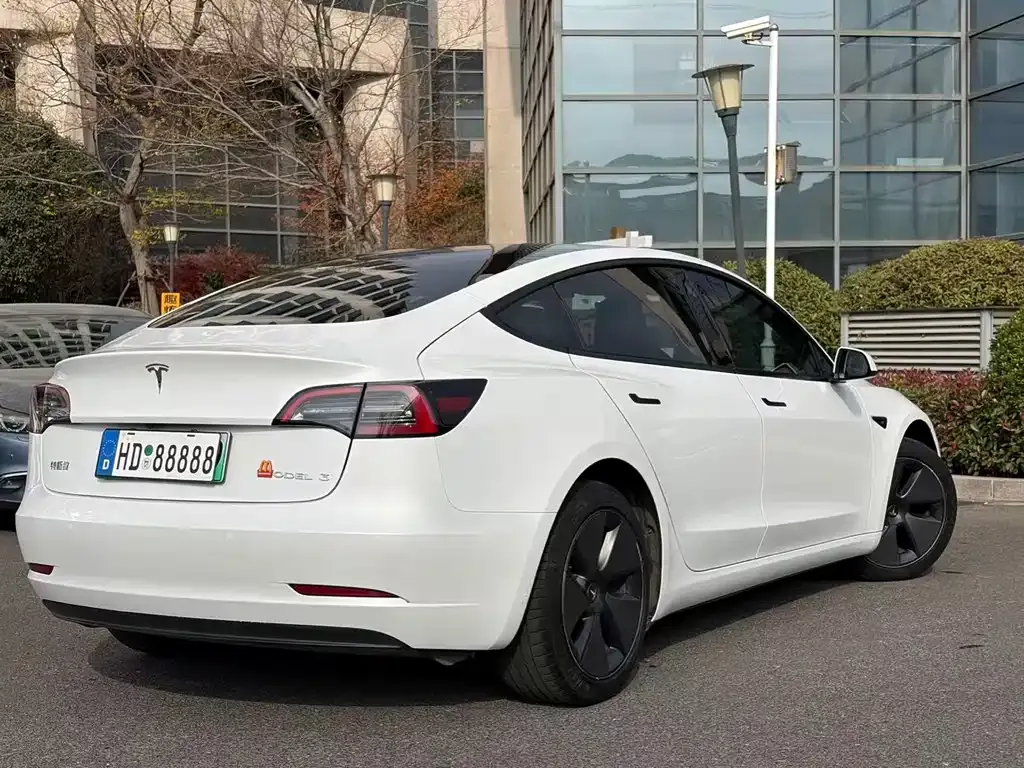 Tesla Model 3 2021 из CN, фото 8
