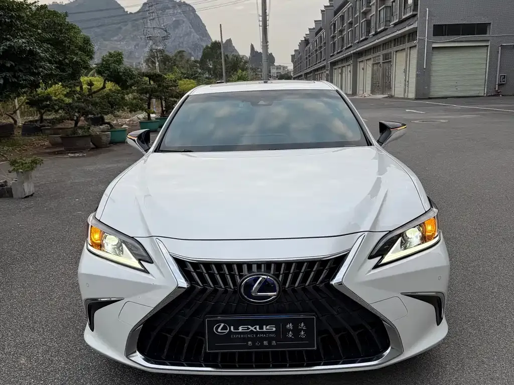 Lexus ES 2022 из CN, фото 4