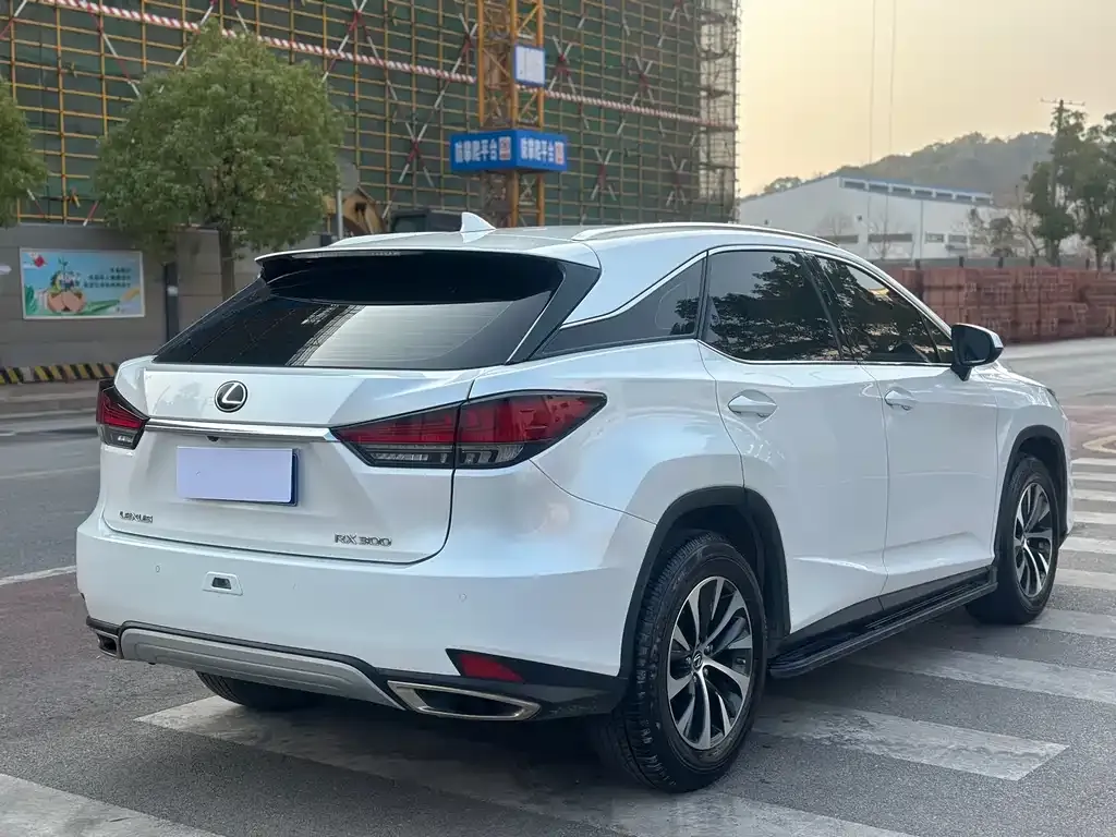 Lexus RX 2021 из CN, фото 6